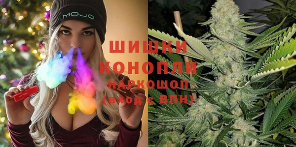 spice Алзамай