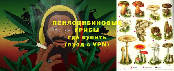 метадон Сафоново